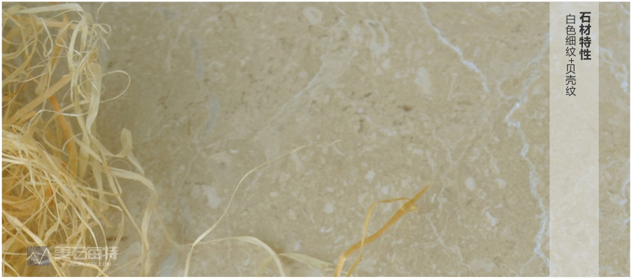 63丁香米黄3   白色细纹 贝壳纹.jpg