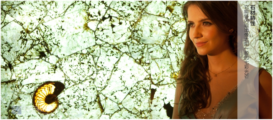 拉布拉多1    它能够闪现出像太阳一般的七彩光芒.jpg